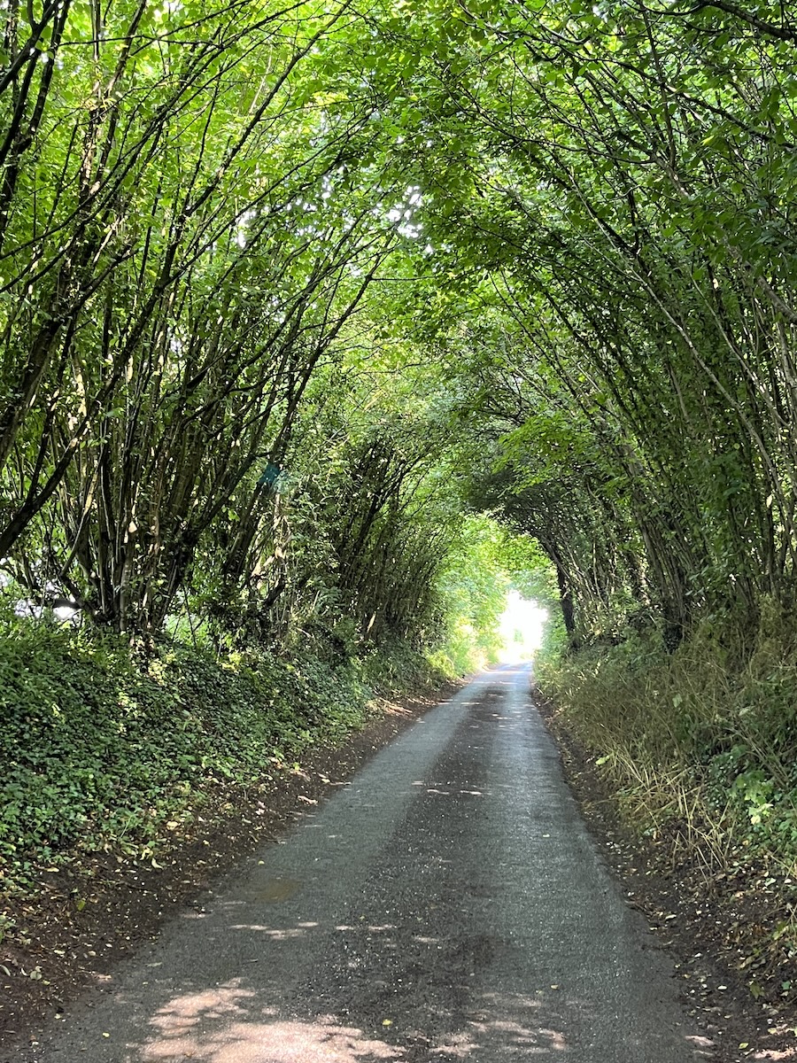 england-5