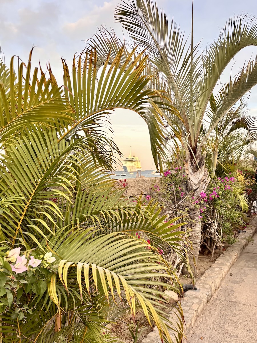 Cabo